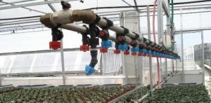 Automatic irrigation of greenhouses