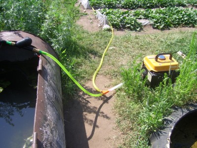 Installation of drip irrigation