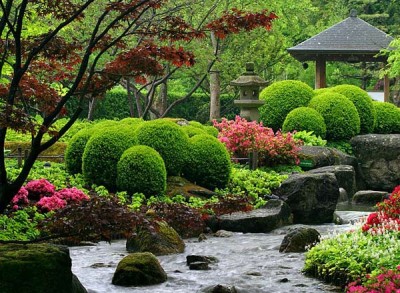Japanese garden design area