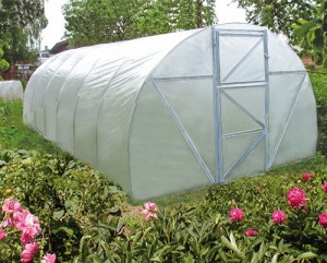 film for greenhouses