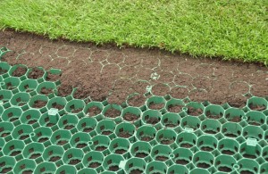 lawn plastic mesh